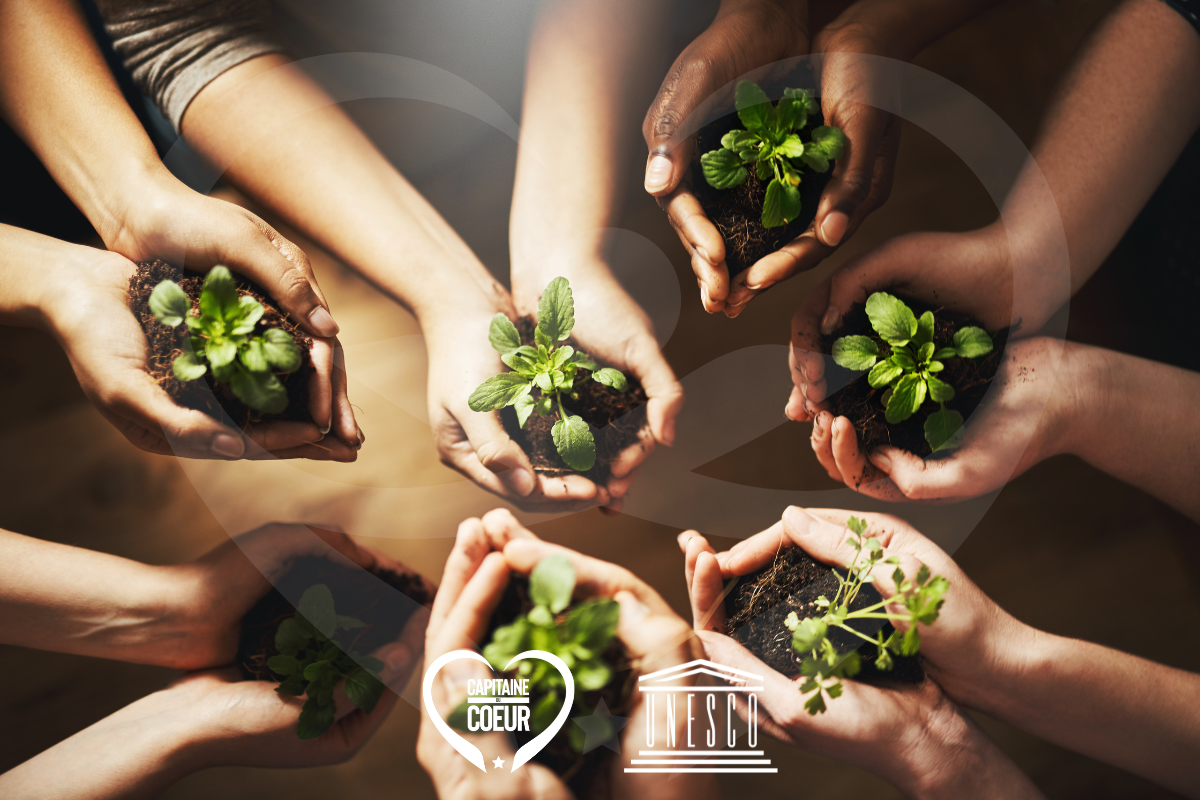 Teaching sustainability from the youngest age