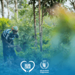 Un bioherbicide révolutionnaire contre la faim au Kenya